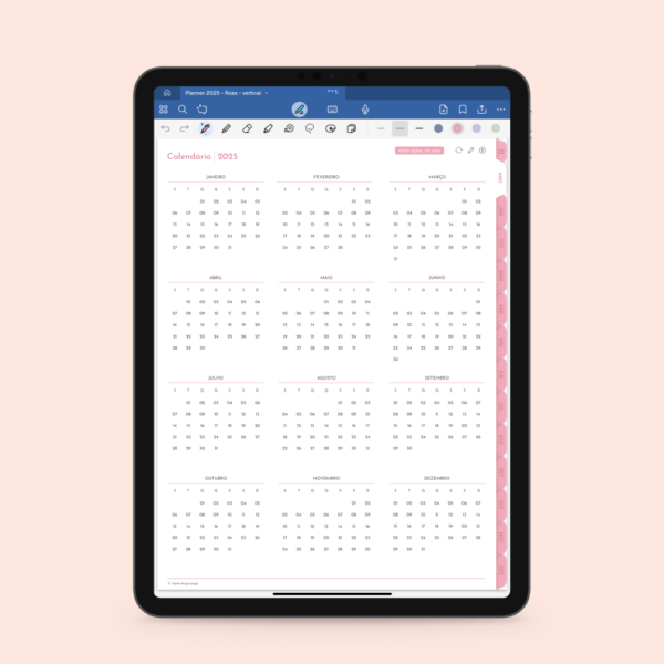 planner 2025 calendário anual
